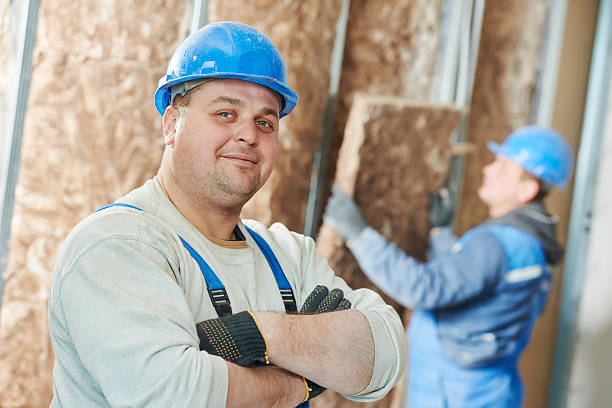 Best Eco-Friendly Insulation in Lindale, TX